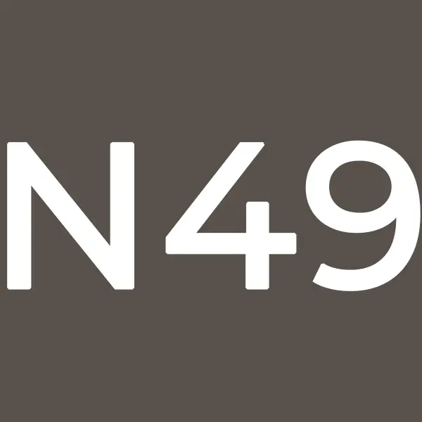 N49 Warm Gray