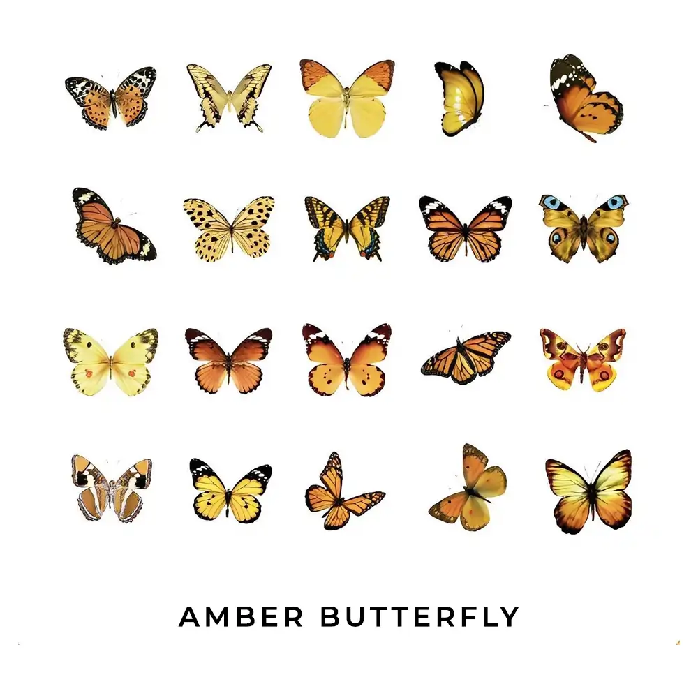 Amber Butterfly Specimen Stickers - 40 pcs – Bhav Shop